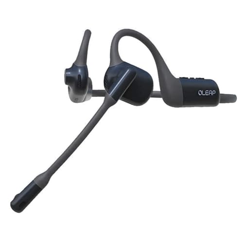Wireless Noise Cancelling Headphones with Mic,Wireless Headset with Mic for
