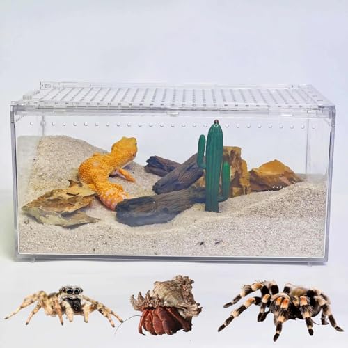 Mini Reptile Terrarium, 12" x 8"x 6" Reptile Tank with