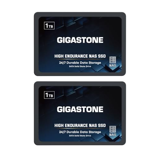 Gigastone 【NAS Certified】 High Endurance SSD 1TB (2-Pack) Up to 550MB/s TLC Flash with SLC Caching 24/7 Reliable for Gaming/PC/NAS SSD 5-Year Warranty 2.5" SATA Internal Solid State Drives RAID Disk
