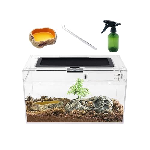 Mini Reptile Terrarium Set,12" x 7"x 6" Low Reptile Tank