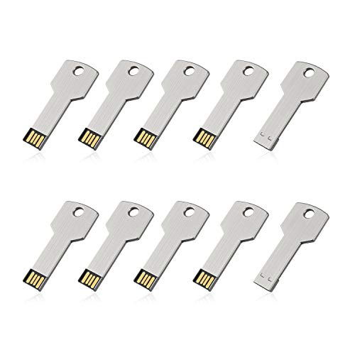 RAOYI 10 Pack 2GB USB Flash Drive USB 2.0 Metal