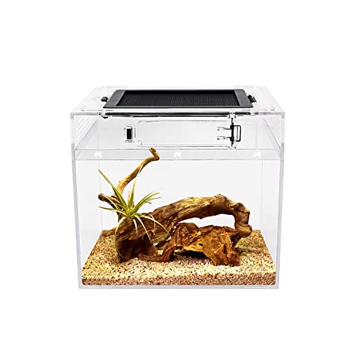 Reptile Growth mini Reptile Terrarium,8" x 8"x 8" Reptile Tank