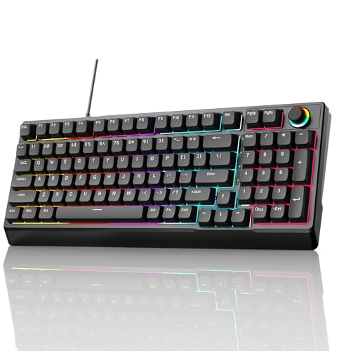 Mechanical Gaming Keyboard with Red Switches:98 Keys with Backlit, Black,