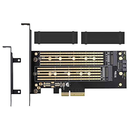 Dual M.2 PCIE Adapter for SATA or PCIE NVMe SSD
